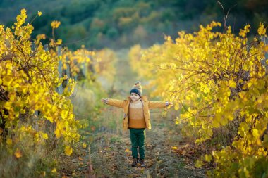 Sarı yapraklarla kaplı bir bahçede koşan ve zıplayan bir çocuk.