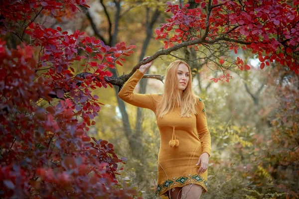 黄色のテキスタイルのドレスを着た女性が赤い葉の木で公園を歩く — ストック写真