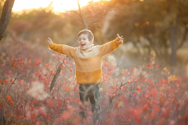 A child in a yellow sweater stands in a clearing with dry grass shouting and waving his hands — 스톡 사진