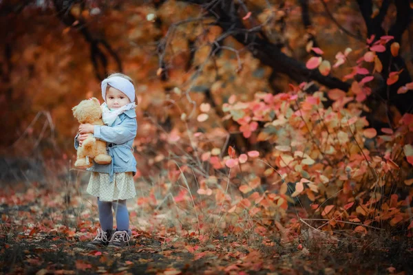 小女孩自己在秋天的公园里散步，她的树叶从树上落下来 — 图库照片