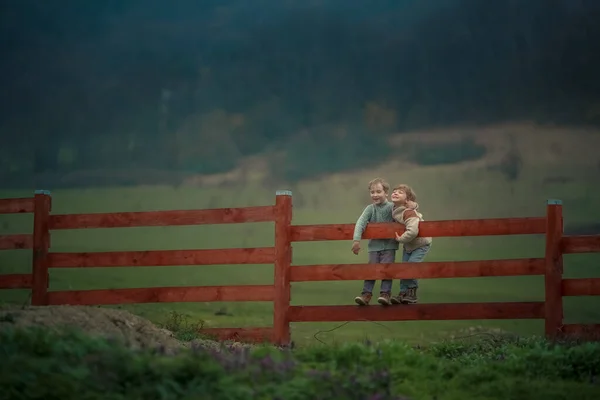 Два брата мальчика сидят на ранчо на деревянном заборе против зеленого поля — стоковое фото