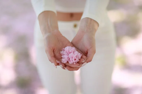 Palmas com pétalas de rosa. Contra o pano de fundo das mulheres quadris em jeans brancos — Fotografia de Stock