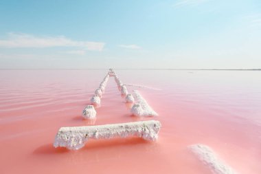 Yüksek oranda tuz ve yosun içeren bir göl. Kırmızı tuz gölü