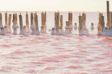 Deniz tuzu çıkarmak yerine binaları su basmış. Zamanla ahşap kirişler tuz kalıntılarıyla kaplandı.