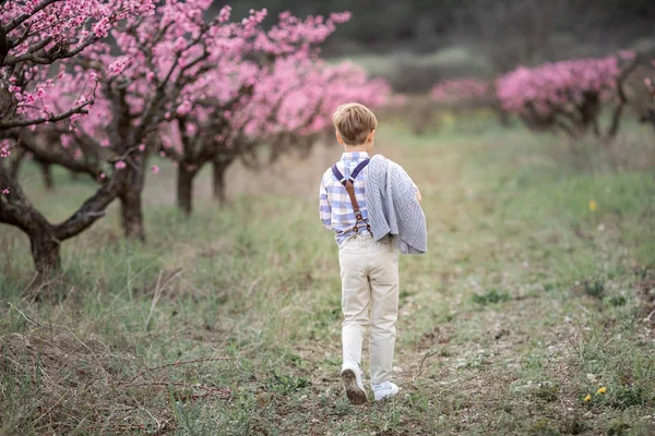 Un garçon marche dans un parc naturel avec des arbres — Photo
