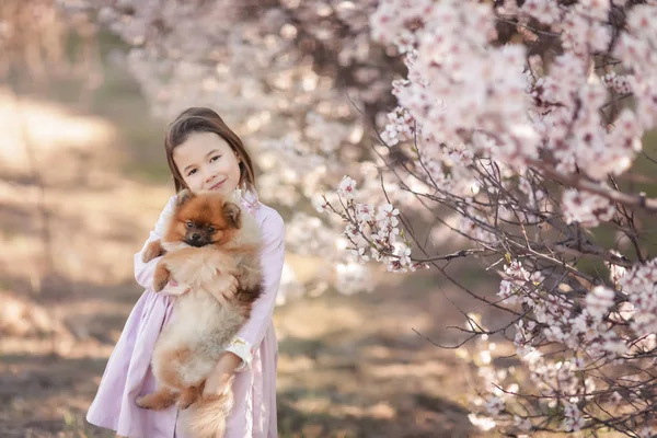Κορίτσι με σκυλοπιτάκια — Φωτογραφία Αρχείου