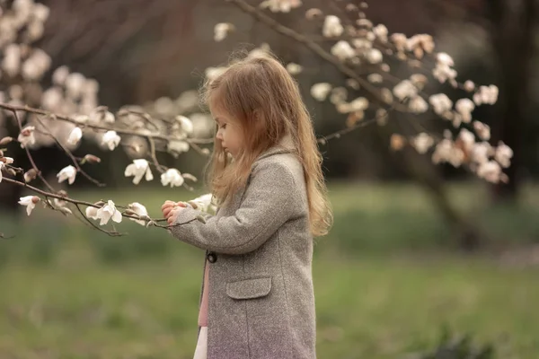 En flicka står i en park och tittar på grenarna av blommande träd — Stockfoto