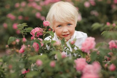 Çocuk çalıların arkasından dışarı bakıyor.