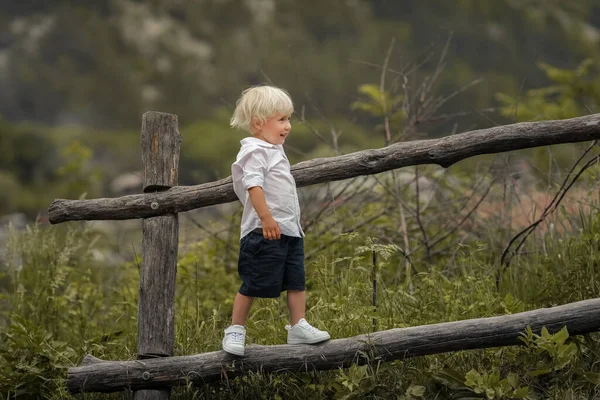 Seorang anak berusia 4 tahun memanjat pagar kayu tua — Stok Foto