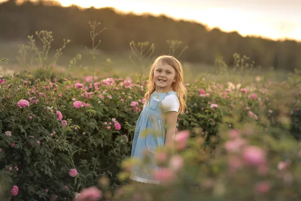 Baby girl, 5-6 years old dressed in a blue dress and straw hat stands in a field of wild flowering rose — Stock fotografie