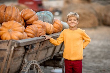 Sarı balkabaklarıyla ahşap bir arabanın yanında duran bir çocuk..