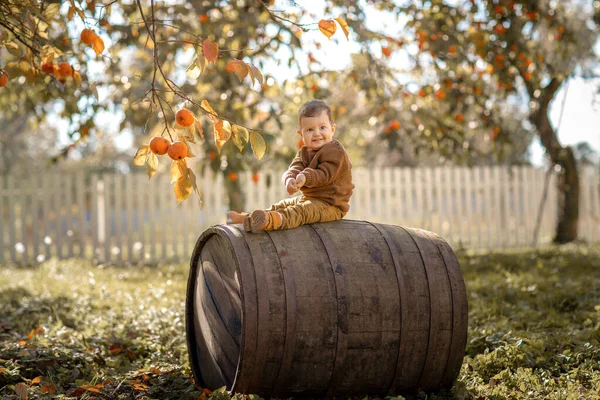 Tříletý chlapec sedí na velkém dřevěném sudu — Stock fotografie