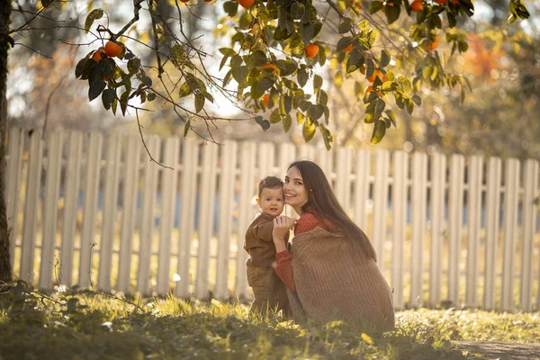 Une jeune mère marche avec son fils dans le jardin avec des orangers mûrs — Photo