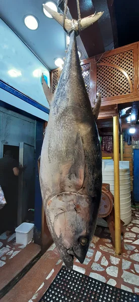 Gran atún mediterráneo suspendido en cunas en el mercado de pescado —  Fotos de Stock