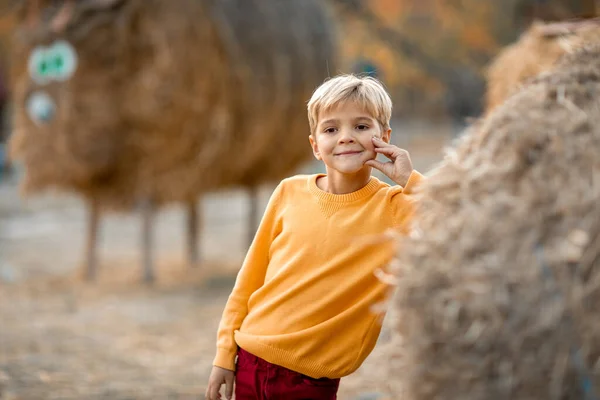 Seorang anak dengan sweater kuning berdiri di dekat tumpukan jerami — Stok Foto