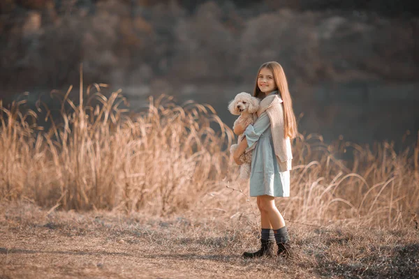 Una chica pasea con un perro en un prado —  Fotos de Stock