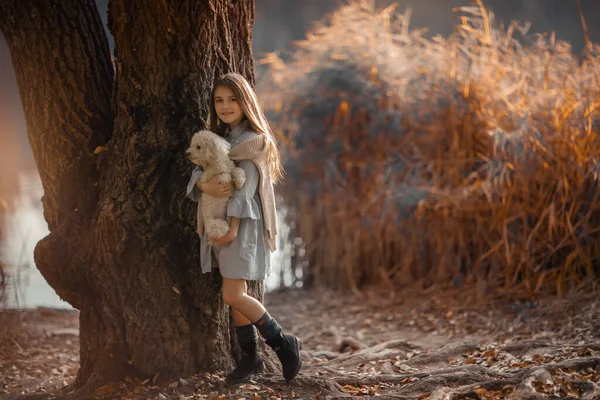 Girl of 12 years walks a pet on the street — Stock Photo, Image