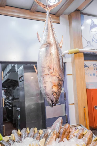 Atún grande de plata fresca suspendido en un gancho cerca de un mercado de pescado . —  Fotos de Stock