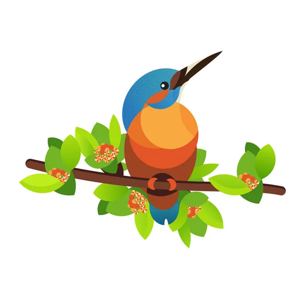 Zimorodek Ptak na gałęzi — Wektor stockowy