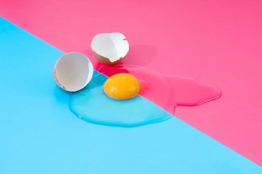 Pembe ve mavi arka plandaki kırık kabuklardan kaynaklanan çiğ yumurta.