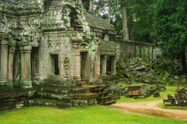Kamboçya 'daki Ta Prohm Tapınağı