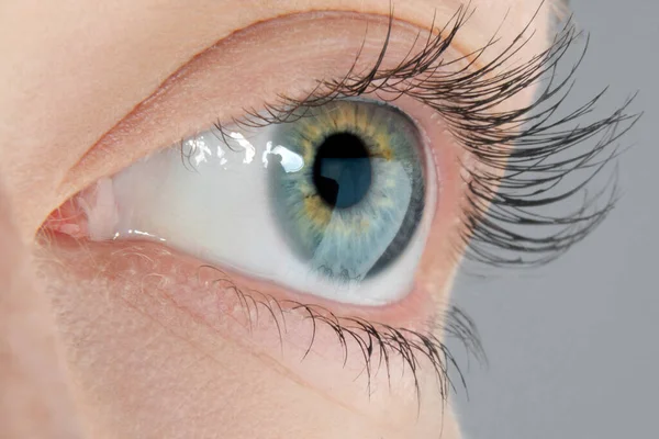 Mavi gözlü, sarı lekeli bir kadının makro fotoğrafı.