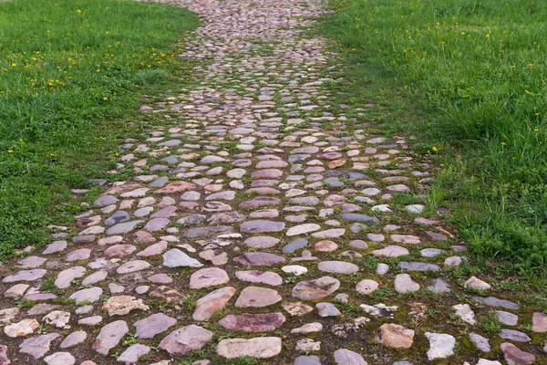 Park Path Paved Colorful Rounded Stones — Stock Photo, Image