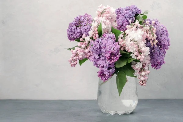 Beyaz beton bir duvara karşı gri bir masadaki vazoda duran beyaz ve mor leylak demeti.