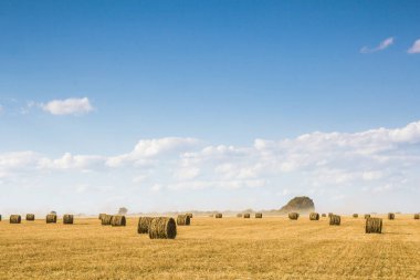 Balya saman alanıyla
