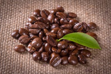 tahıl ve yaprakları kahve