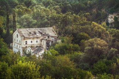 Ormanda bina unutulmuş eski harap