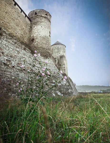 Старая крепость, историческая достопримечательность Лицензионные Стоковые Изображения