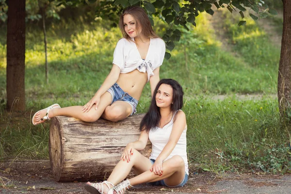 Duas meninas bonitas jovens sentadas em um log — Fotografia de Stock
