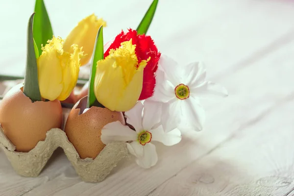 Velikonoční dekorace, květiny tulipány a narcisy. — Stock fotografie
