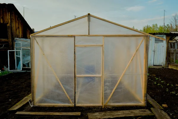 Rus Sibirya'da sebze yetiştirmek için ev yapımı bir sera. Tayga, seralar. Ogrutsy domates, havuç, pancar, soğan.