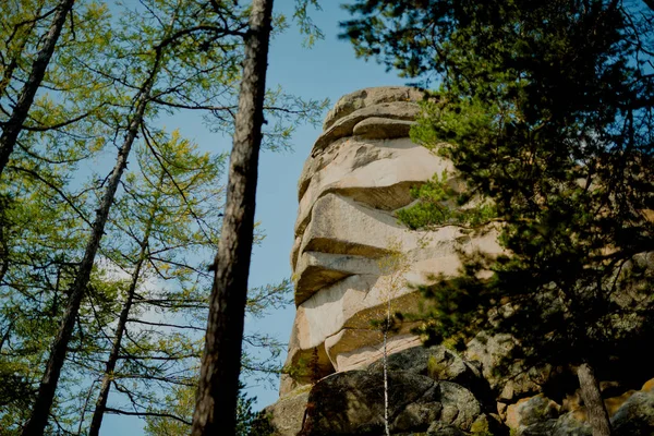 Reserva natural en Siberia. Rusia. Pilares de zona protegida . —  Fotos de Stock