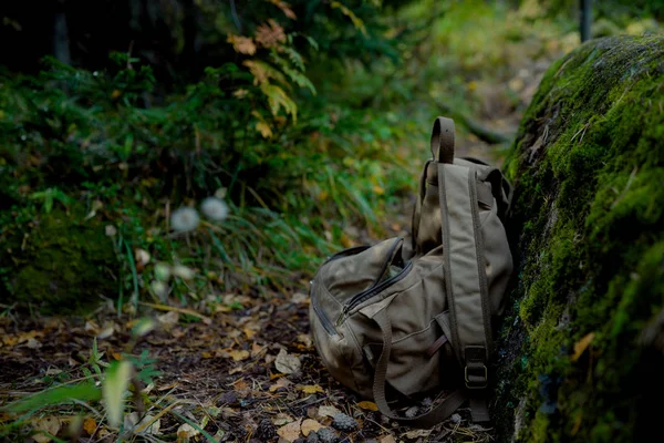 Sibirya'da tabiatı. Rusya. Korumalı bölge Pillars.