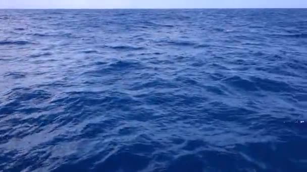 Indische Oceaan van de blauwe kleur — Stockvideo