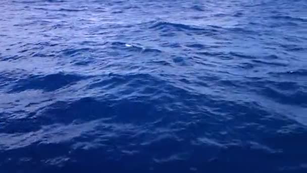 Oceano Indiano di colore blu — Video Stock