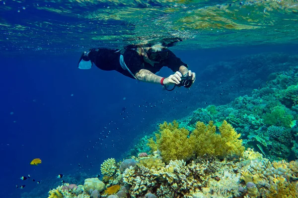 Kadın, mercanlar ve balıklarla sualtı manzarasının fotoğrafını çeker.