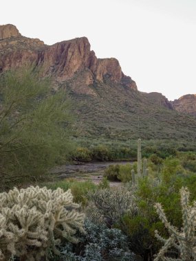 Tonto Ulusal Ormanı 'nın güzel manzarası