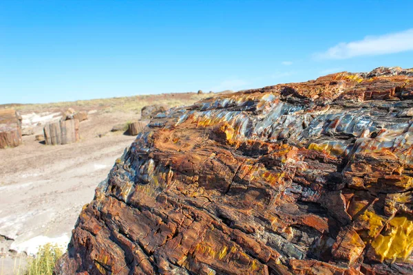 Madera Petrificada Que Tiene Millones Años Está Ubicada Parque Nacional — Foto de Stock