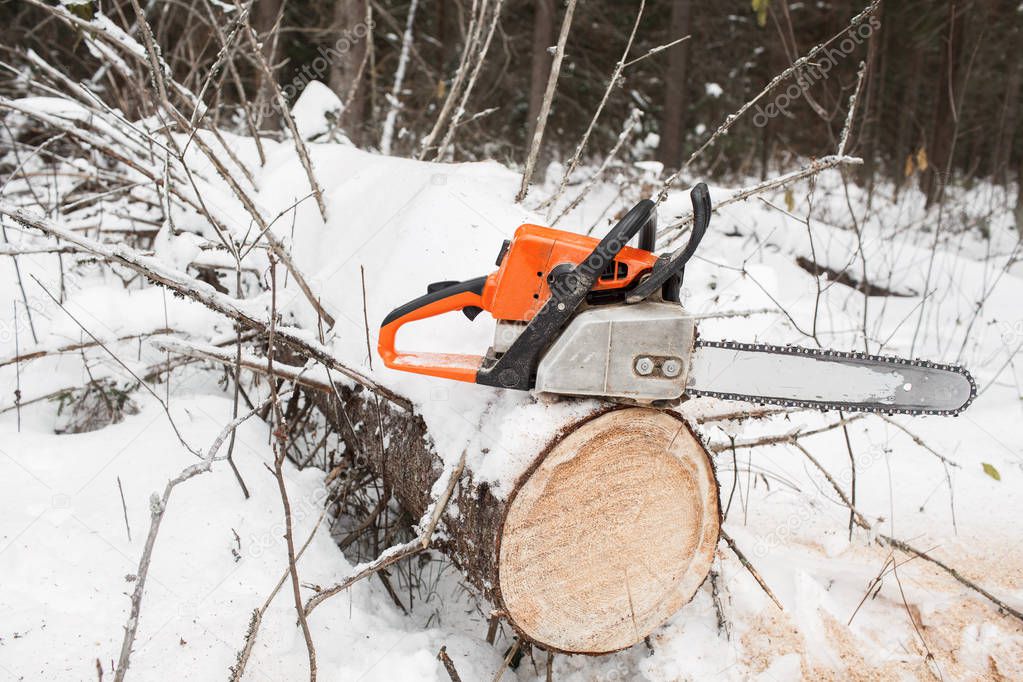 Chain saw on pine stump  the fallen tree in winter