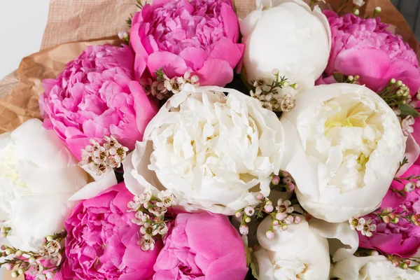 Frische helle blühende Pfingstrosen blühen auf weißem Hintergrund. und rosa Knospe — Stockfoto
