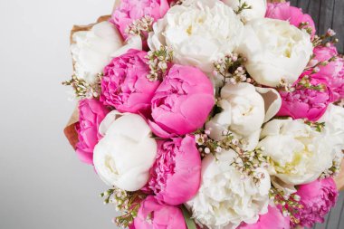 taze parlak çiçek açan peonies çiçekler beyaz arka plan üzerinde. ve pembe tomurcuk