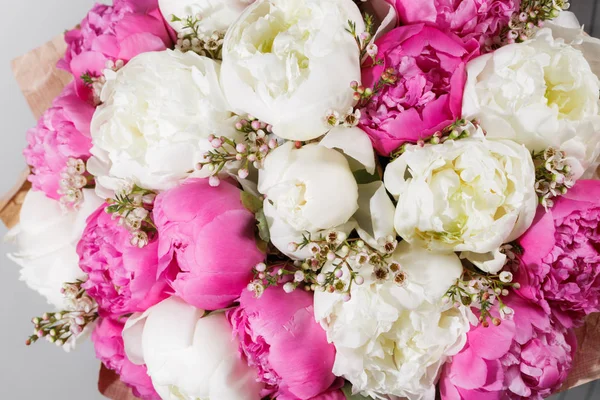 Frische helle blühende Pfingstrosen blühen auf weißem Hintergrund. und rosa Knospe — Stockfoto