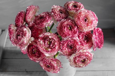 Kestane rengi ve beyaz Farsça düğün çiçeği çiçek. Kıvırcık Şakayık Düğünçiçeği metalik gri vintage sulama olabilir, kopya alanı içinde.