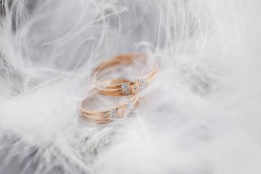 İki altın alyans ve tüyler - evlilik için yumuşak yumuşak arka plan