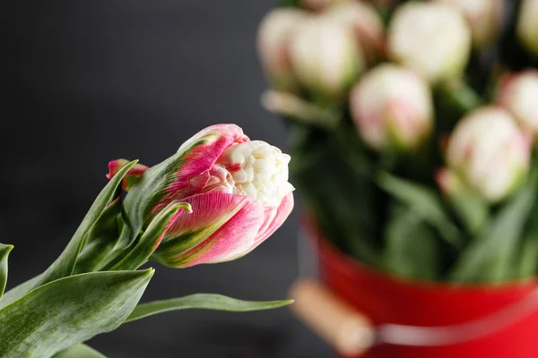 Tulpeneis als Ergebnis der Auswahl Blumen in Metalleimer hölzernen Hintergrund — Stockfoto