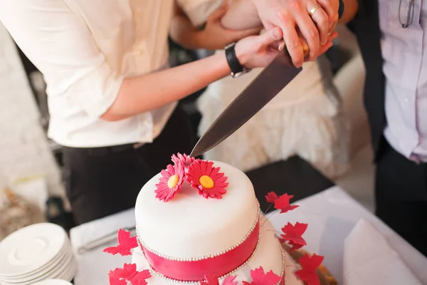 Noiva e um noivo está cortando seu bolo de casamento — Fotografia de Stock
